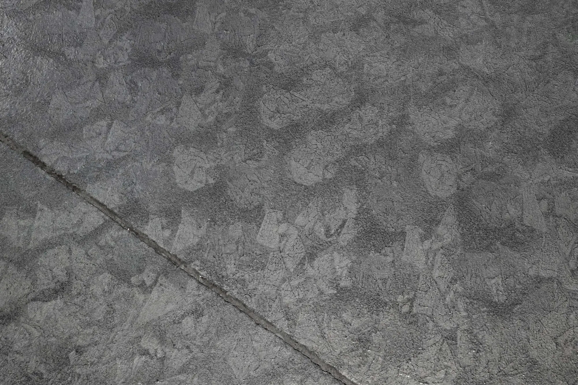 20190219_042__W2000xH0