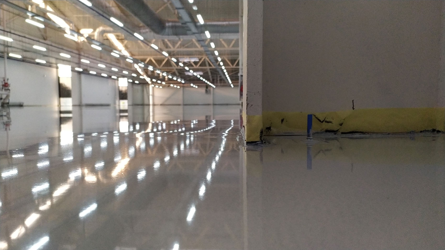 IMG_20191019_085334_1