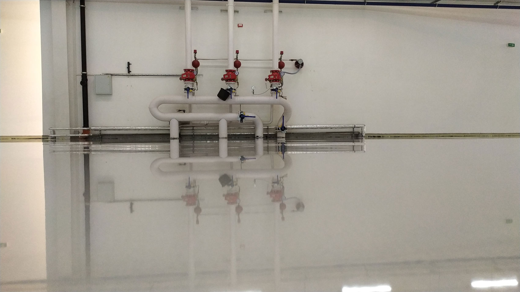 IMG_20191019_085610_1